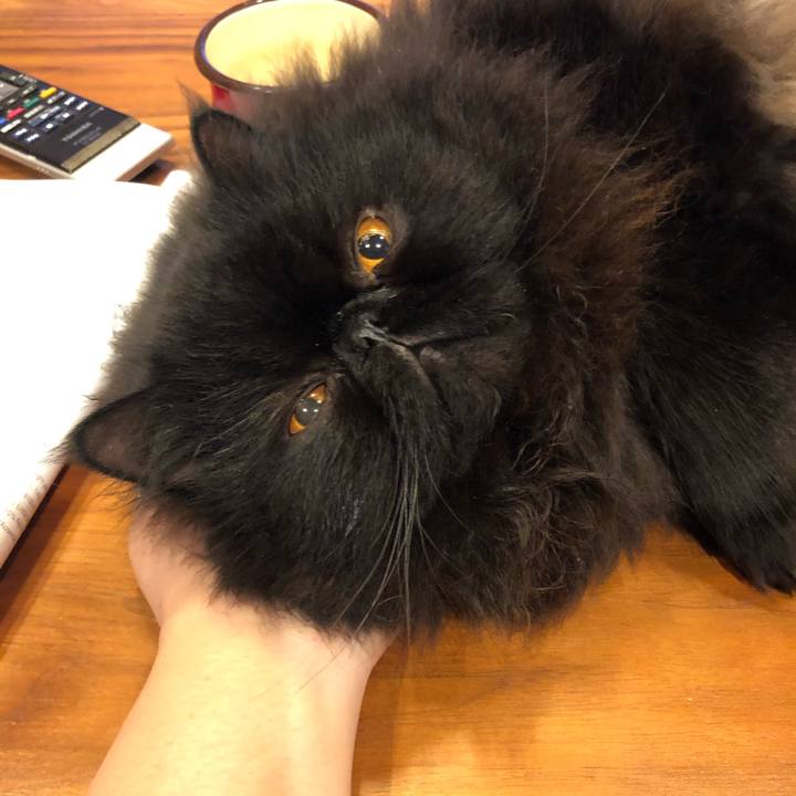 Fe401c80 c171 4a1e bf65 37f9709b7632 1589804317370