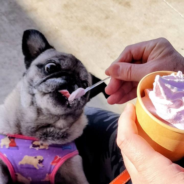 Fe406428 9693 4b1f b4bb dea484bed8f3 1763956811332