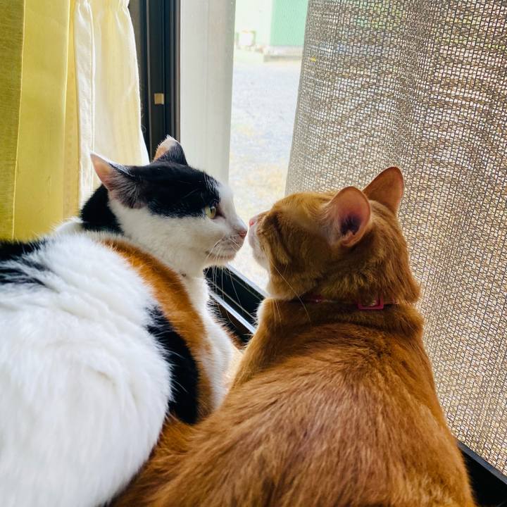 Fe40acb4 6bea 4c42 9232 dd67b78d7a0f 1690068085175