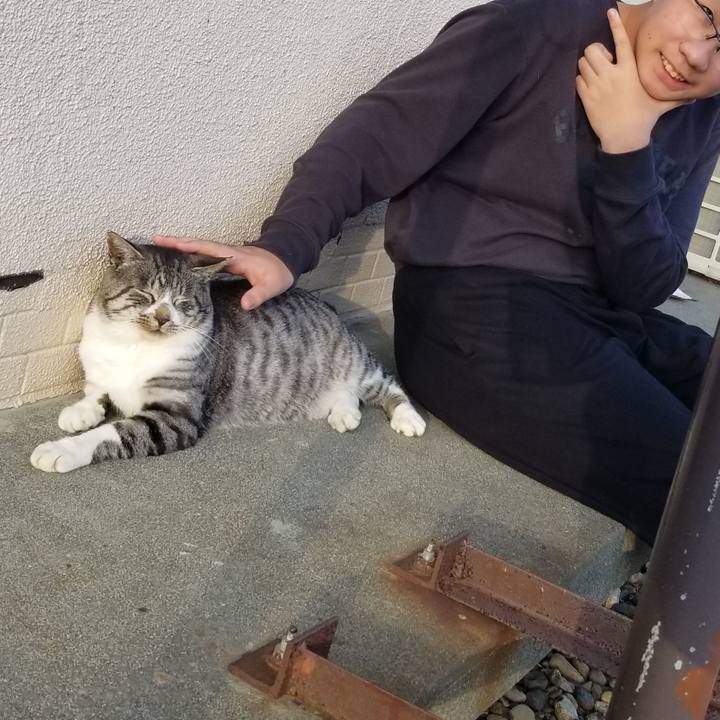 Fe40c78b 8e29 4a87 a4a0 d4f41d87bea3 1635173385418