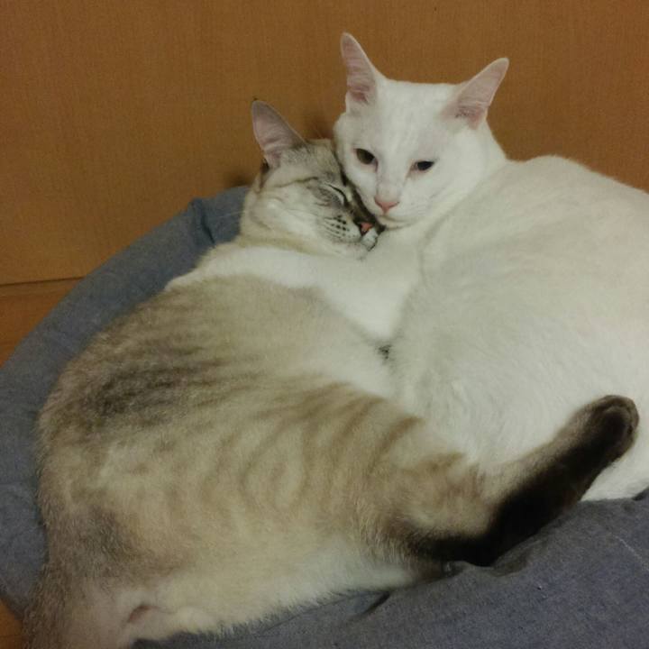 Fe40da00 bcb1 4bd7 82ee f7bb36ba1d8d 1508155767838