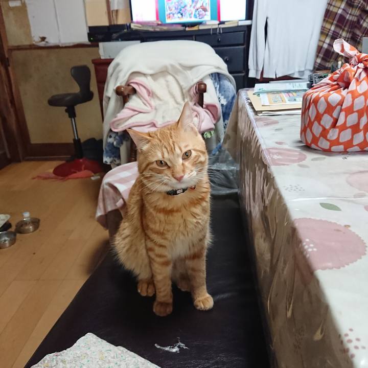 Fe40ff32 85ff 479e a08b 4dfee90fd3af 1643675777474