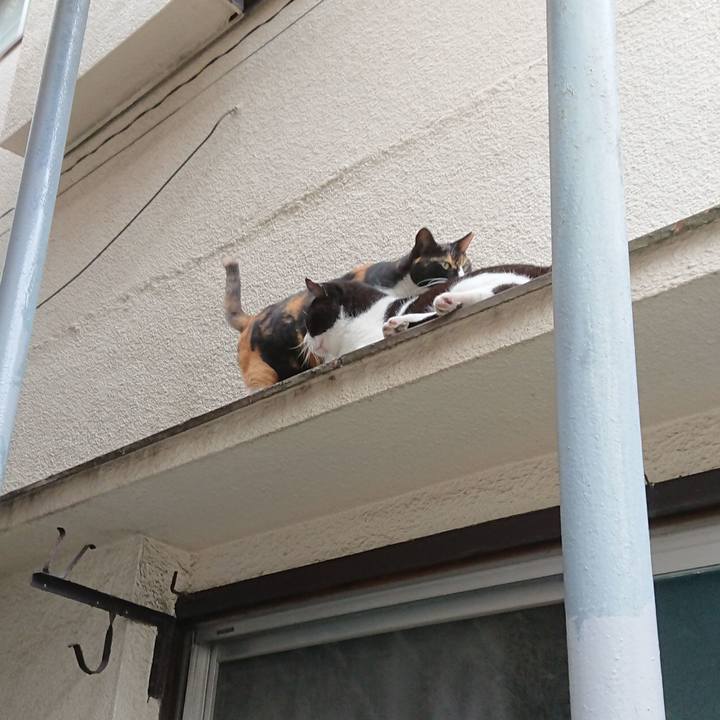 Fe411ad3 a065 49c3 89d8 9f17ae2576ae 1600154609670