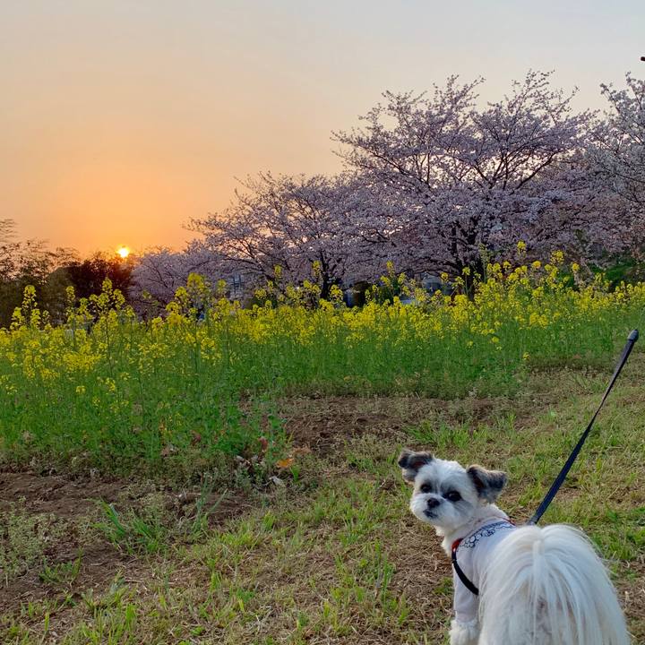 Fe4126d1 bd65 457c b8a4 ddc4e9462a0e 1555032864761