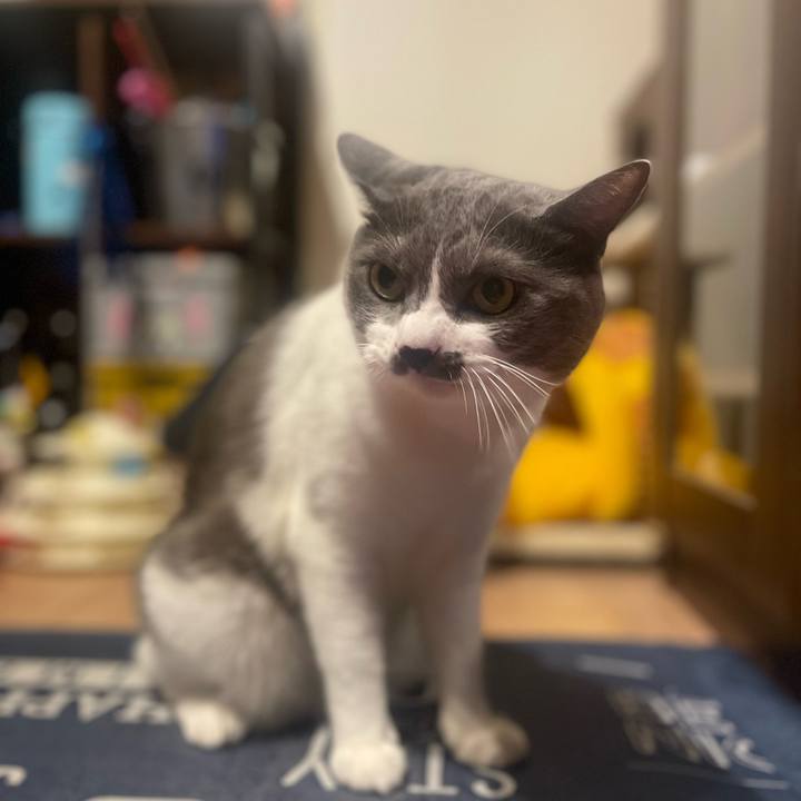 Fe412748 a3a0 41f6 aced 65f32490f52b 1724323707706