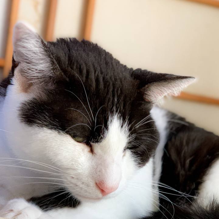 Fe418e8b 7b68 4ce7 be4c 64f63fad0016 1593223219875