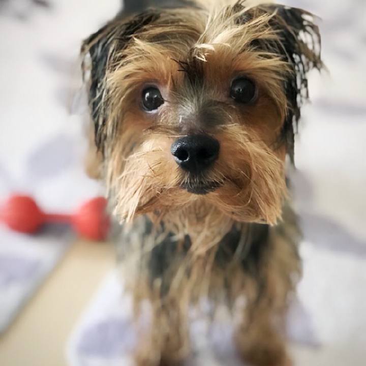 Fe41a1fd 11bf 46eb 8507 96949332e1cc 1515031888797