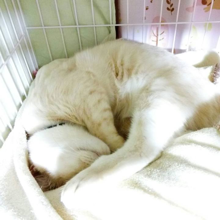 Fe41b3db 930b 49e8 b701 703f6b47748f 1512297125870