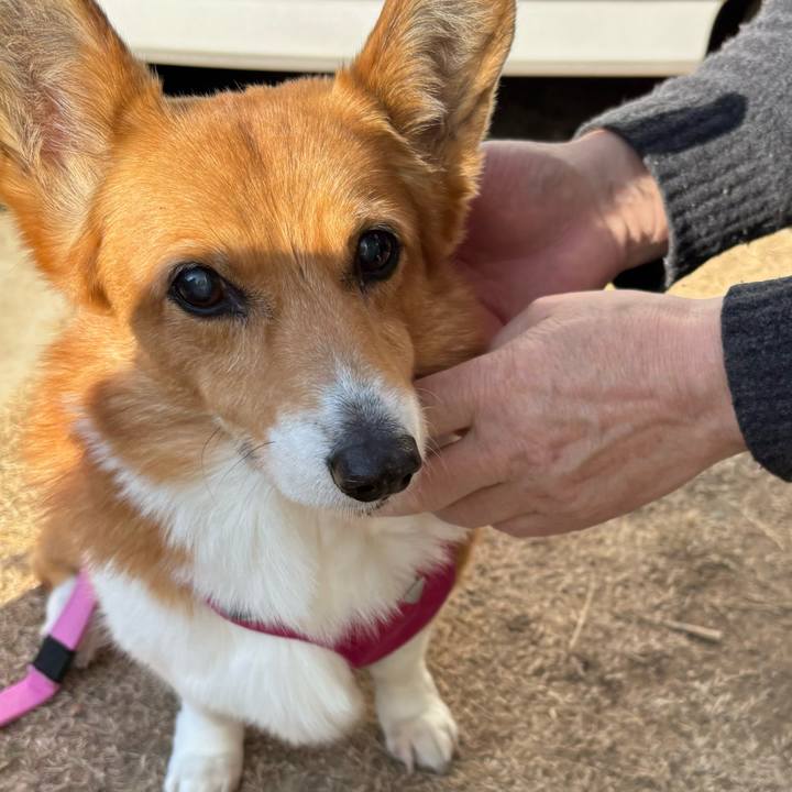 Fe41bd1d 62a9 4e03 ad8d 161bfe45dee5 1738387457533