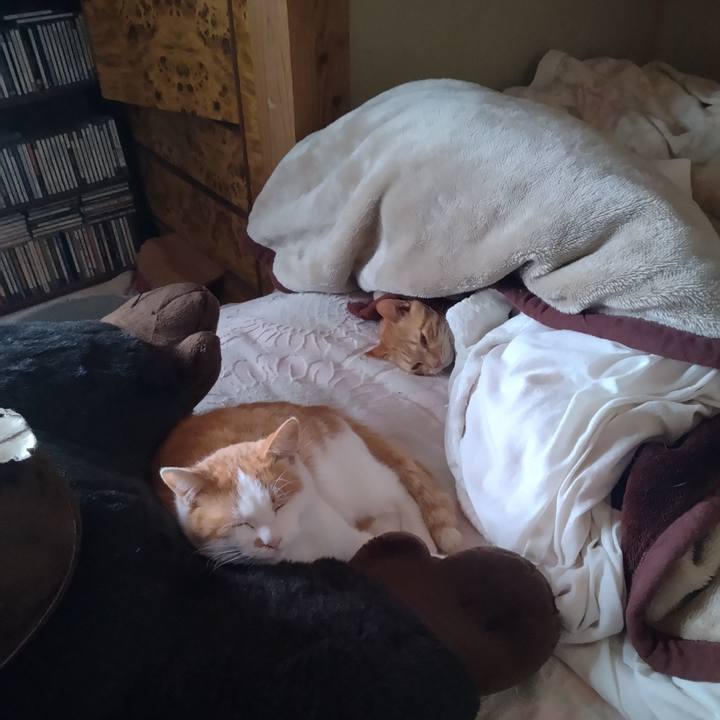 Fe41dcfc 05b2 4d28 991a 7d03100cec1a 1768286698943