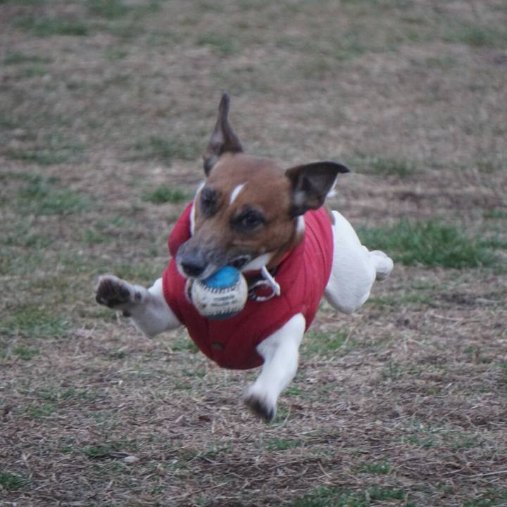 Fe41e6f0 b2e7 41ae b374 98248344db6b 1550097789122