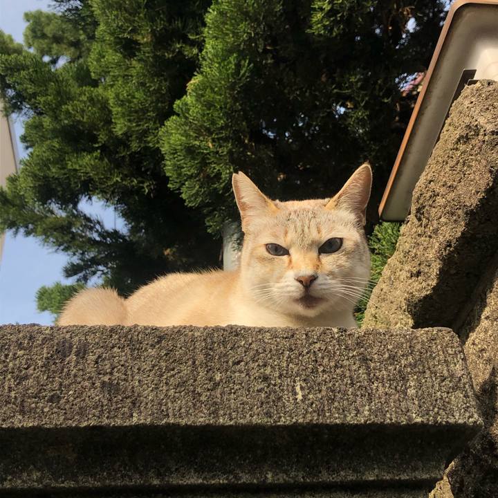 Fe420522 235d 482c 87e2 2ca94d8f9a46 1585409490261