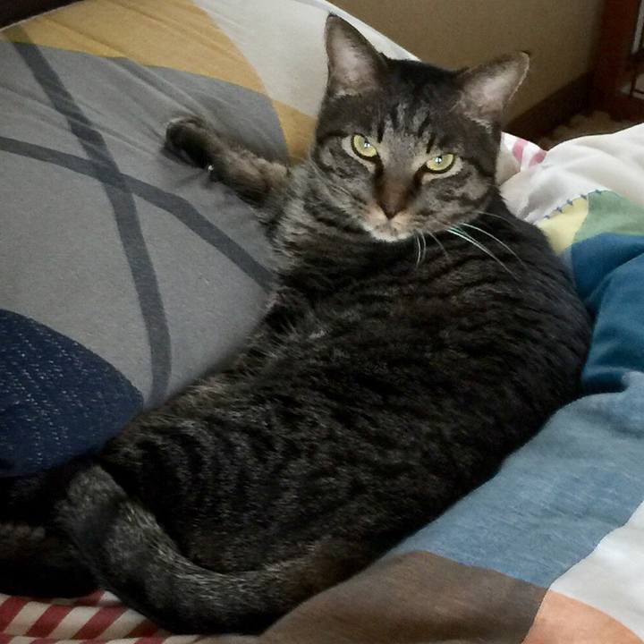 Fe425722 dcb2 4905 80b5 b2572441d416 1558380033216