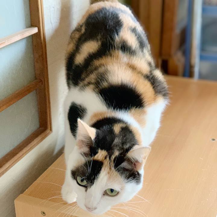 Fe426e24 361f 4fd3 af72 a9468627b112 1540348570345