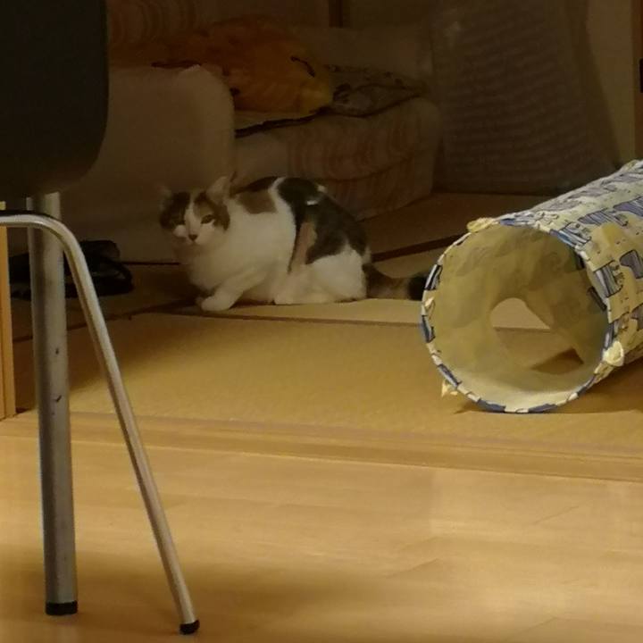 Fe430982 f903 47f2 8b6e 33b30f90acf6 1554944263373