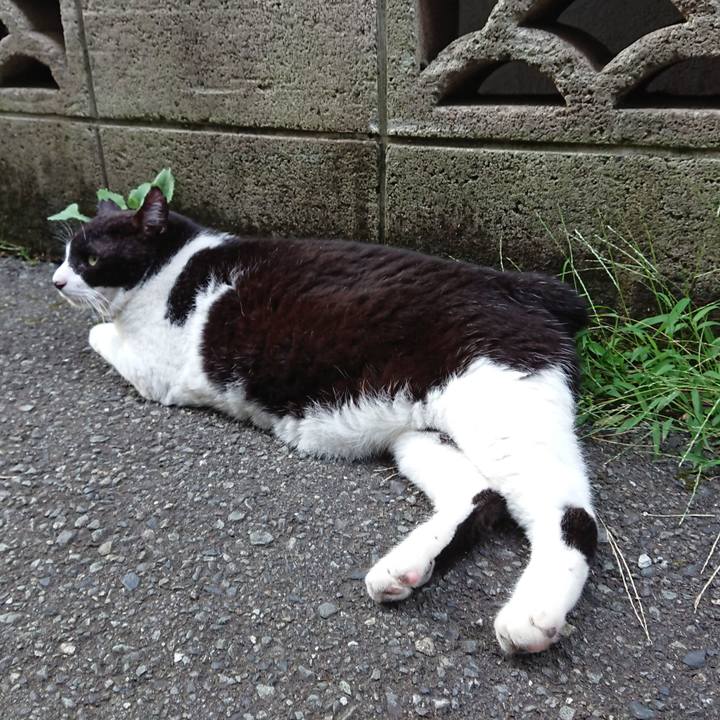 Fe430f30 3993 46d1 9a79 d88bb85f3085 1629880791037