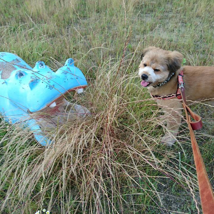 Fe433f47 9248 4707 8b4b 91e1ad9063fc 1527933383406