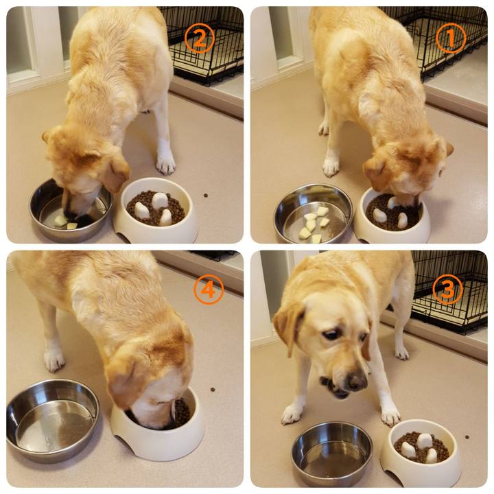 Fe4344f4 d48b 42bd 8d17 60b6fdcef6c0 1517794927161