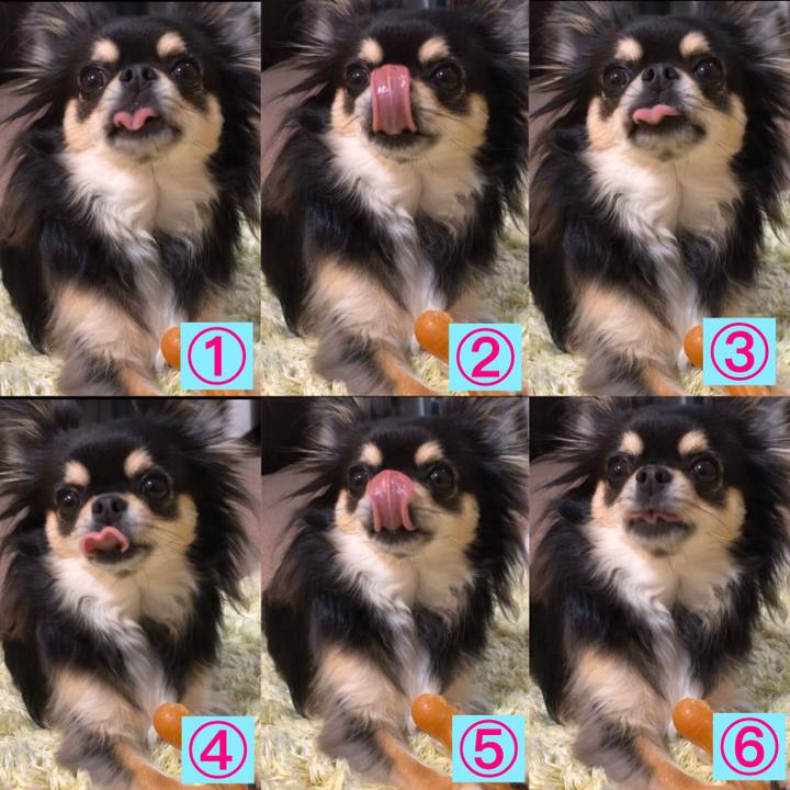 Fe438bcb 294b 43d1 bbb8 60ef11f944ce 1584625564417