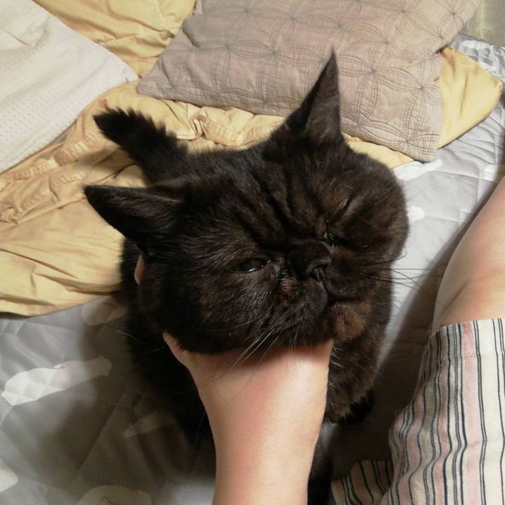 Fe439e65 a779 45df 966d 23b53c8b69cf 1634375220328