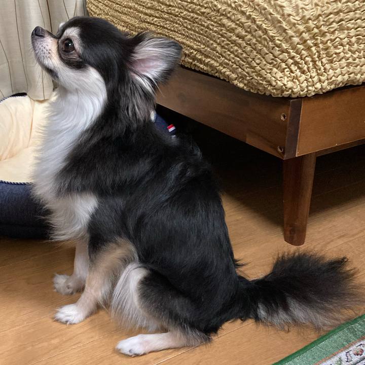 Fe43cb44 cbeb 4791 9d00 bcaa04542d37 1658149156465