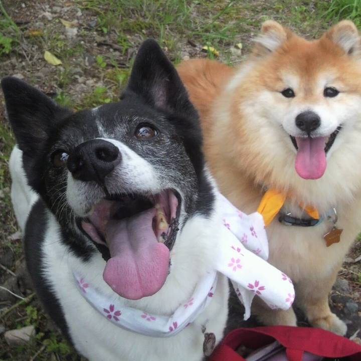 Fe43d8cc e390 4c03 8d8d 580cfb6ff467 1545965904705