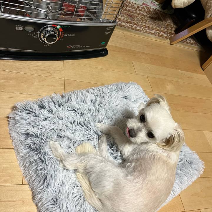 Fe43ded8 3e70 4404 bb78 ac6643d1aa4c 1666686373980