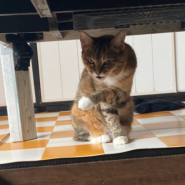 Fe44521b 9225 4c22 9626 70ad2d9d1724 1694823309472