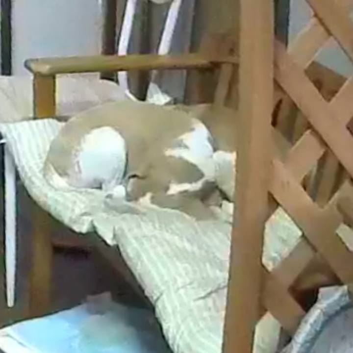 Fe446b3c 2139 4899 a66a 7eccaaad8494 1508306535180