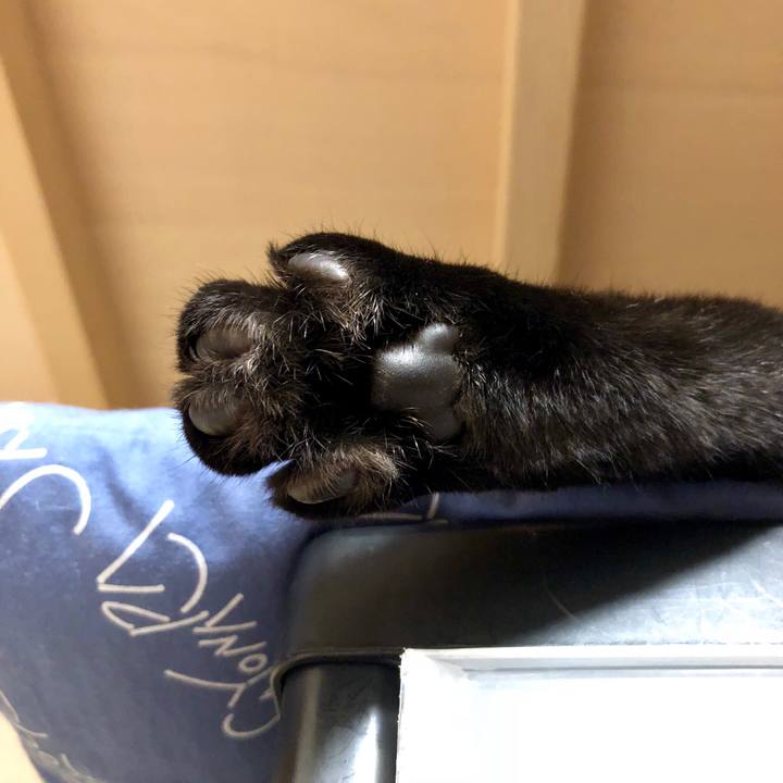 Fe448301 5698 4748 86a4 4b9c4aafbe77 1538989032634