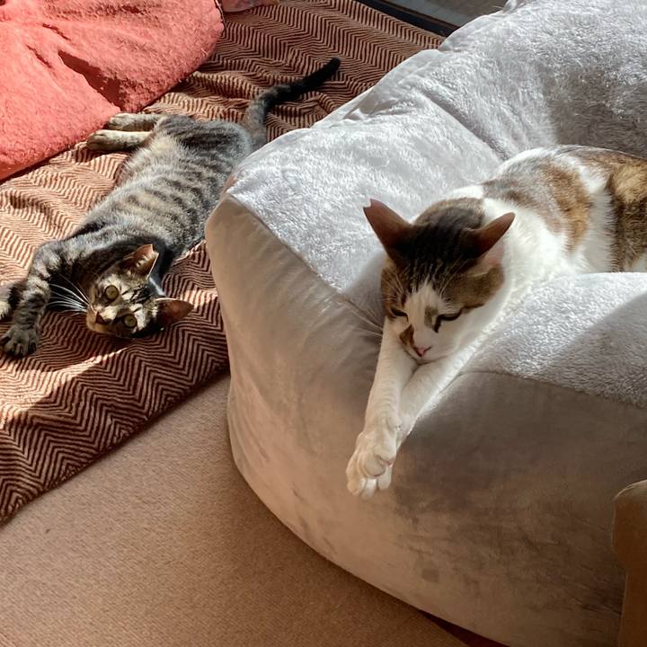 Fe44a28b 4e0d 457a b5c7 71224e0d5b89 1611050673453