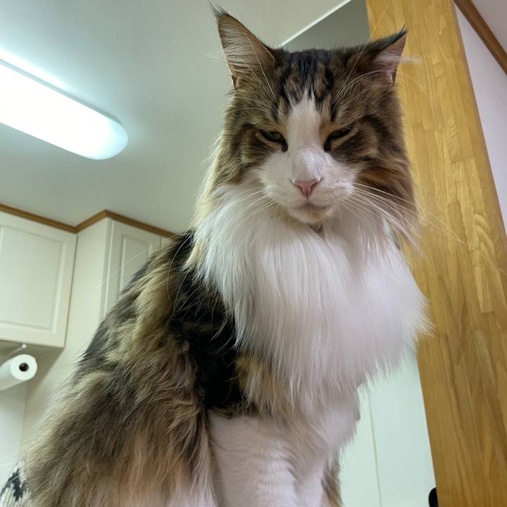 Fe44a71c 4096 49d9 8d7b 7ed3249a310a 1673179602612