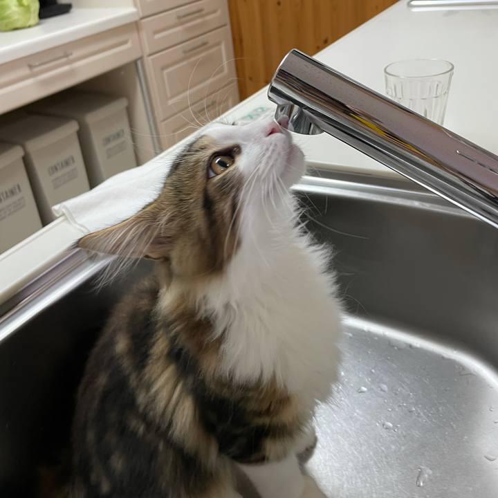 Fe44c2c1 b073 4622 9923 66e315682f0d 1635191232898