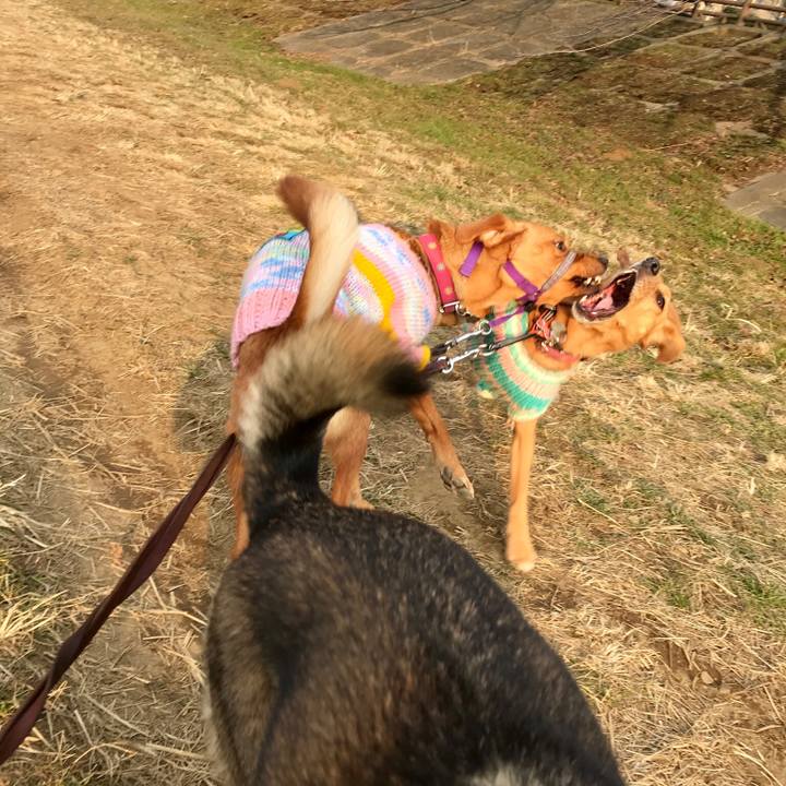 Fe44f73e 5476 45eb af15 23ac22af8ea5 1518775310604