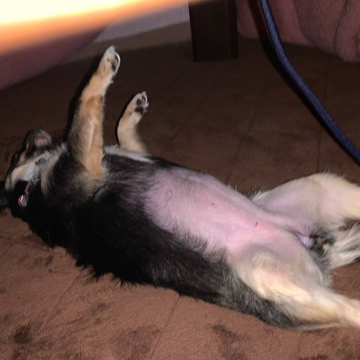 Fe451fac 7343 4619 b447 6251f4de93aa 1638050483790