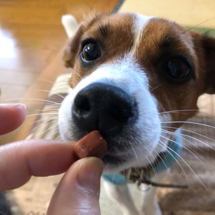 Fe452443 8fdc 48c3 bbce 6cf6c8da6cae 1530489750998