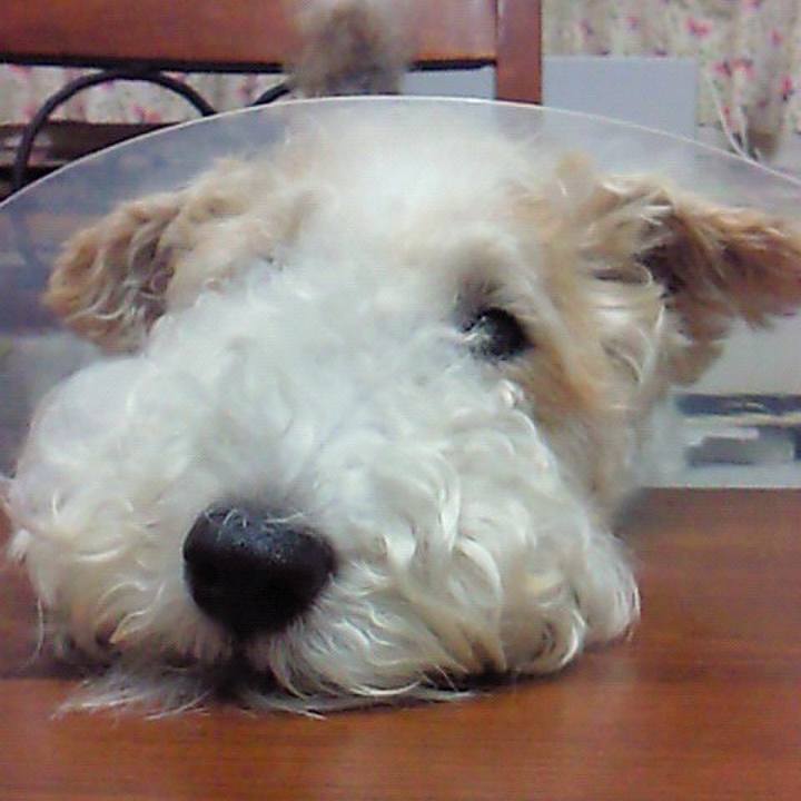 Fe455de6 e5d2 407e ad2f d9eebf397aa2 1594605512129