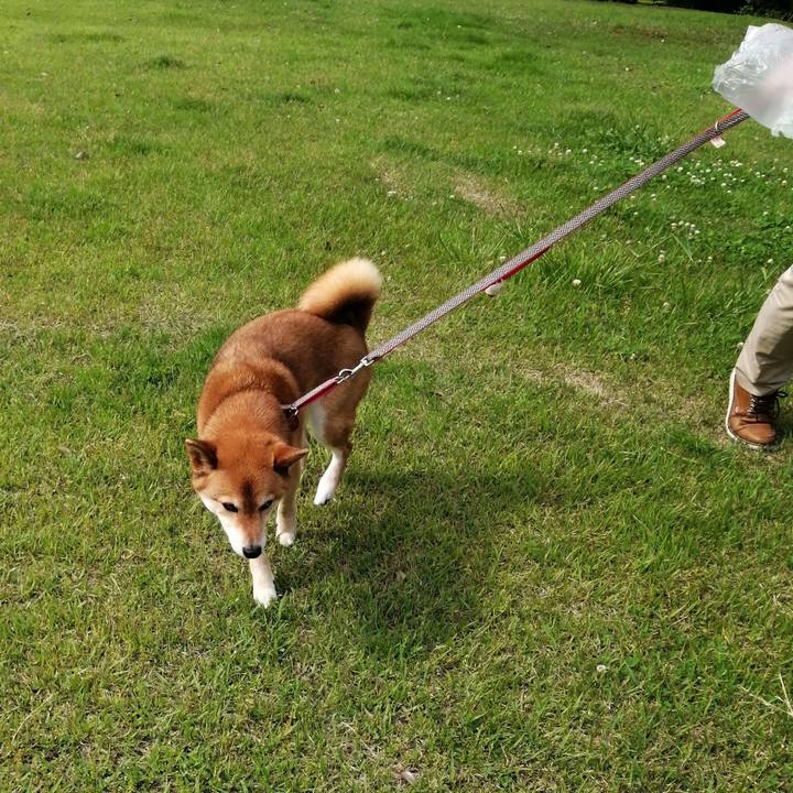 Fe45855a 8653 4c38 ac43 df6f858819ef 1589093768121