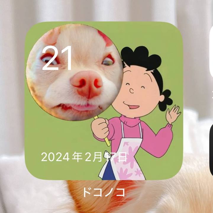 Fe45bc93 c35d 49f4 8570 9083e4095fde 1740107947482