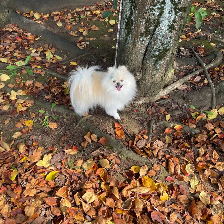 Fe45c274 ee7b 41e6 a1c4 674031c64b4d 1632550653945