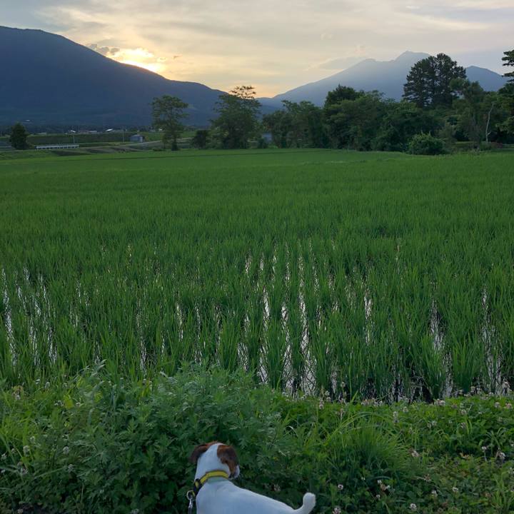 Fe45d512 fa9e 446b 8416 a75f9e2abbd5 1530447600077