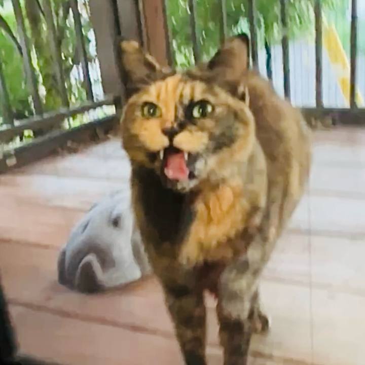 Fe45e48e 4042 4d16 88c7 4a0f0271df20 1733304654734