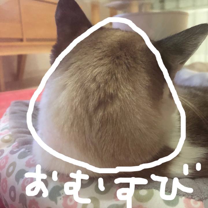 Fe4601c5 3f23 4ffe 958d 154066875c04 1550976300823