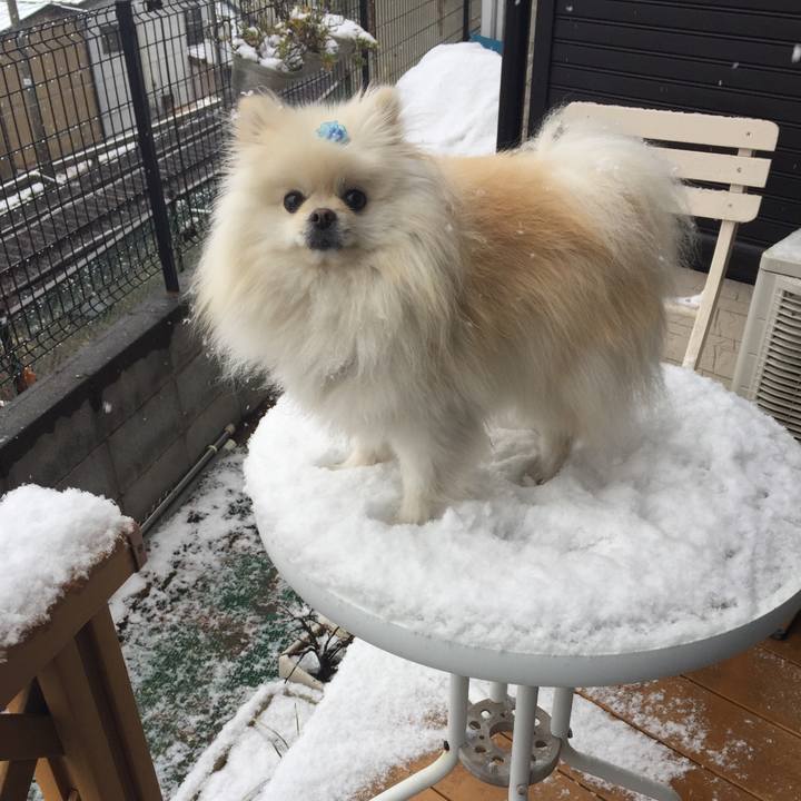 Fe46206c f59f 464c b88c 575857607dd9 1549844982786