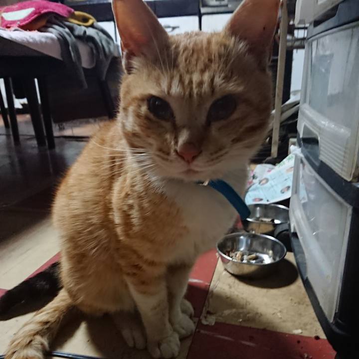 Fe46389c 227c 4b6d ae3a ecd19a1a2117 1555531904082