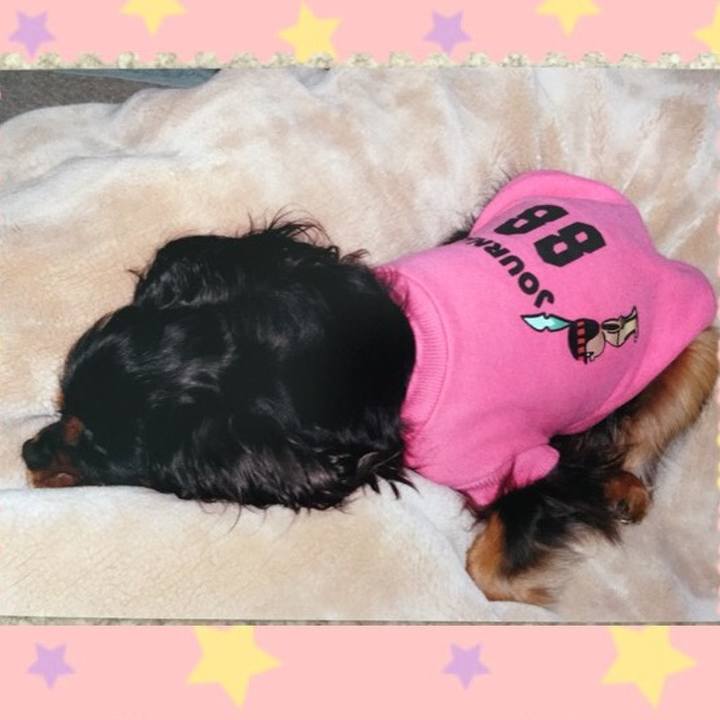 Fe46865d 6904 4dac 89db 227cf6ddf1d0 1511062092785