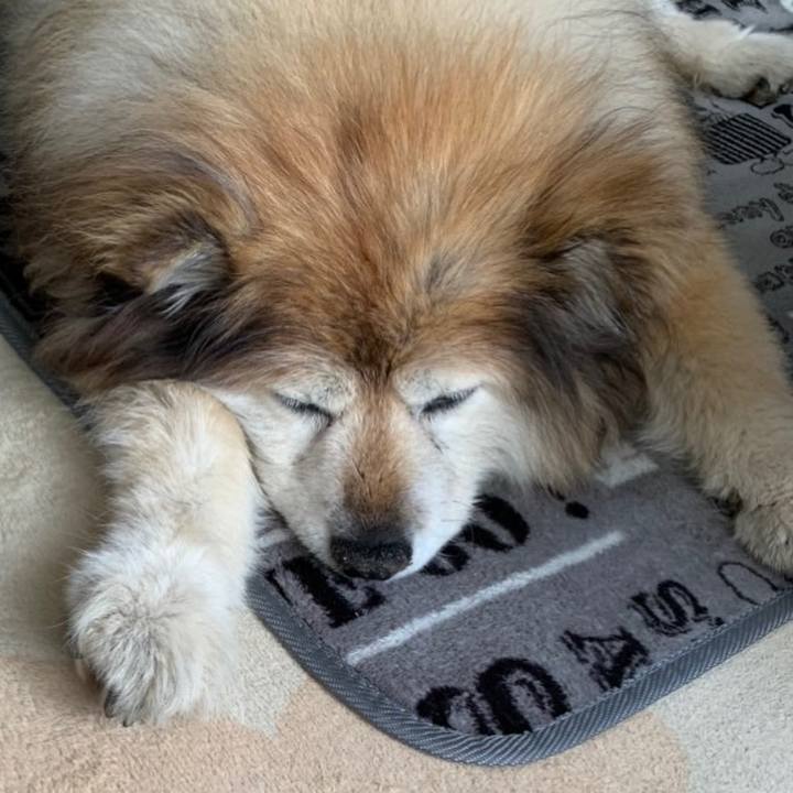 Fe46aa39 42de 4254 9ed7 fca63e16f12b 1635809157903