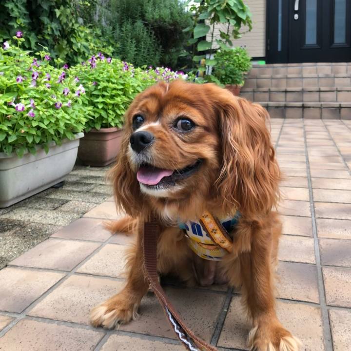 Fe46c12b 2e3c 45d4 9308 522cfc6df61d 1628634045758