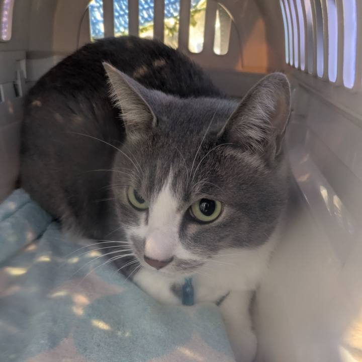 Fe46eaf4 c39b 415b b4a7 ec16058c7766 1764906697593