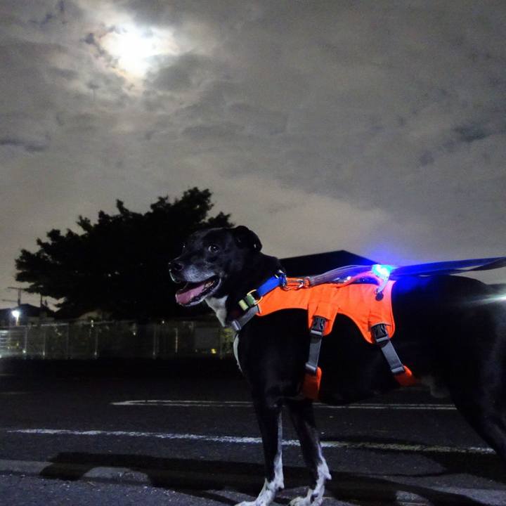 Fe474000 0549 497e ac67 181541ec8f27 1726485410644